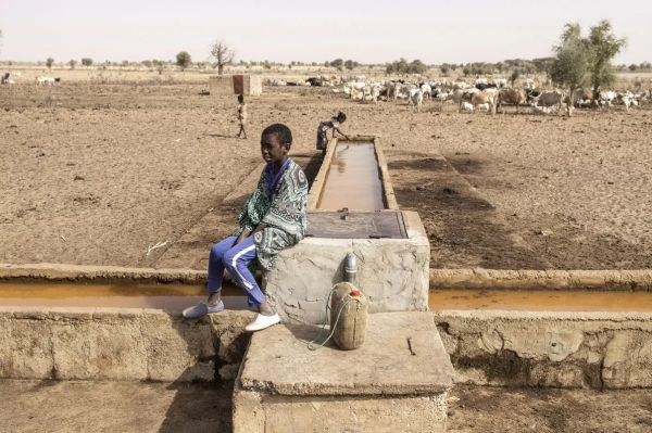 图片说明：塞内加尔面临严重的干旱和水资源危机，其所在的萨赫勒地区自21世纪初以来已经失去了40%的水资源。（法新社）