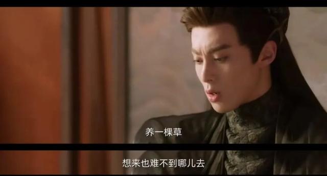 站内热度破万！被认证暑期档爆剧，《苍兰诀》到底好看在哪？休闲区蓝鸢梦想 - Www.slyday.coM