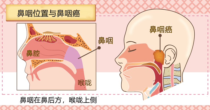杭州女子60岁​大寿却确诊癌转移！儿子发现她半年来不对劲...医生：怎么才来！发现往往已中晚期......休闲区蓝鸢梦想 - Www.slyday.coM