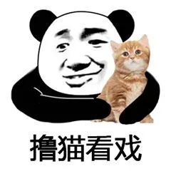 男子为当网红将锅改成方向盘，边泡面边开车！（200期）休闲区蓝鸢梦想 - Www.slyday.coM