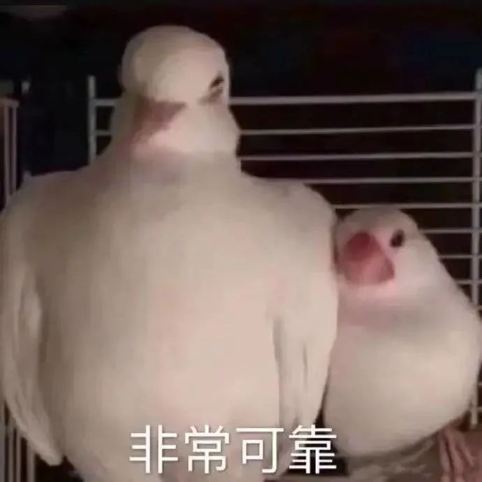 从生成到登陆，它可能只需5天！休闲区蓝鸢梦想 - Www.slyday.coM