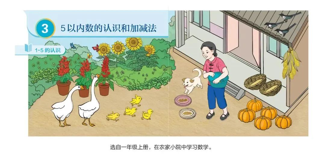 最新插图已完成！教育部通报教材插图问题：27人被追责问责休闲区蓝鸢梦想 - Www.slyday.coM