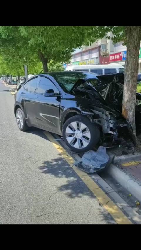 苏州牌照,一特斯拉撞树……这是想啥呢!__财经头条