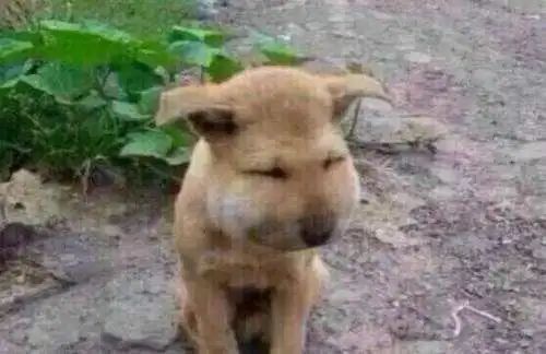 男子为当网红将锅改成方向盘，边泡面边开车！休闲区蓝鸢梦想 - Www.slyday.coM