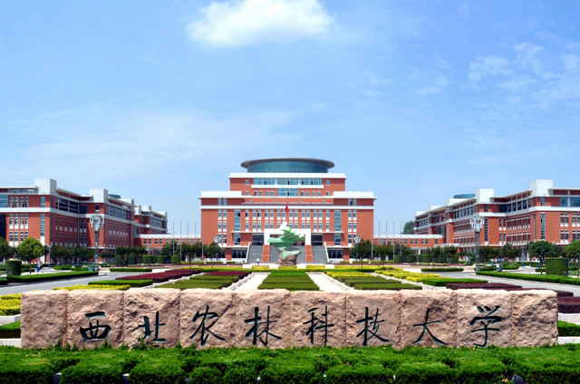 科学院的评级怎么样