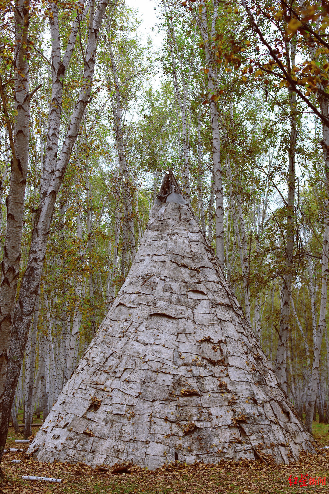 “中国最后的女酋长”去世,在迟子建作品中重读她的故事__财经头条 “中国最后的女酋长”去世,在迟子建作品中重读她的故事__财经头条