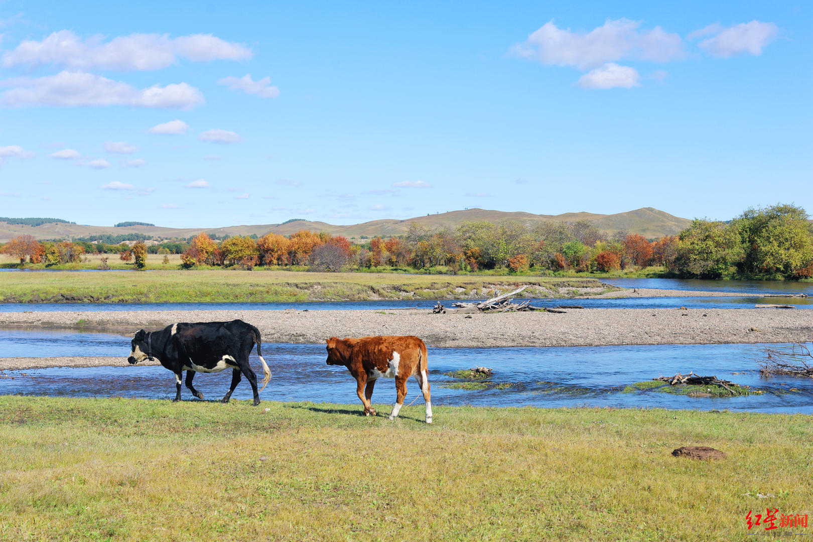 “中国最后的女酋长”去世，在迟子建作品中重读她的故事休闲区蓝鸢梦想 - Www.slyday.coM