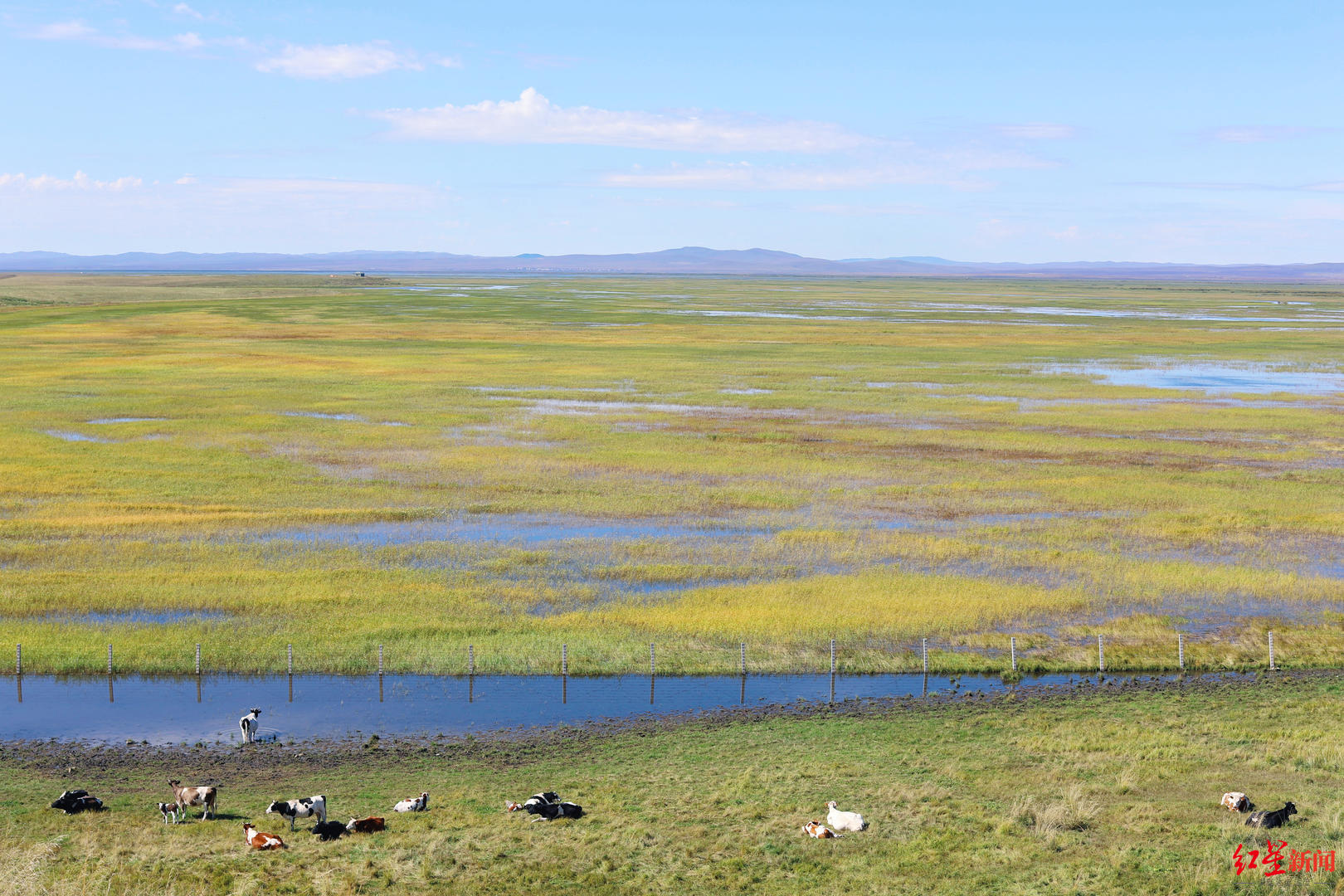 “中国最后的女酋长”去世，在迟子建作品中重读她的故事休闲区蓝鸢梦想 - Www.slyday.coM
