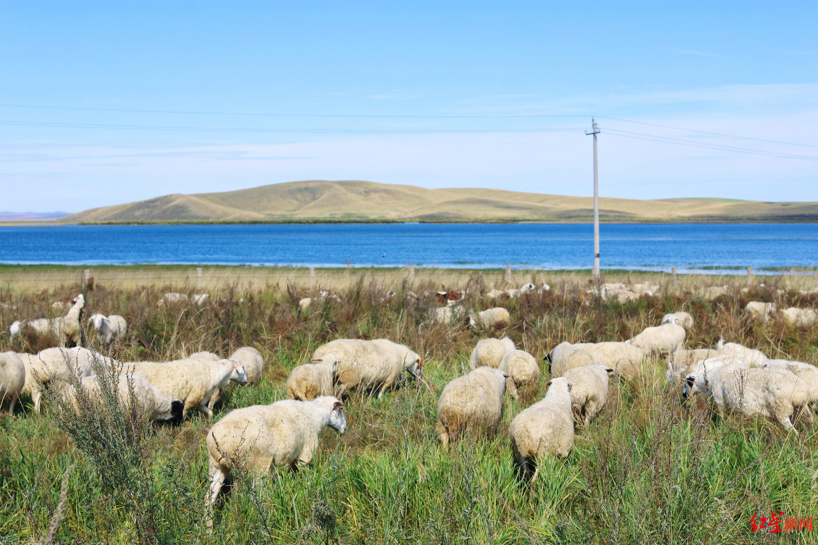 “中国最后的女酋长”去世，在迟子建作品中重读她的故事休闲区蓝鸢梦想 - Www.slyday.coM