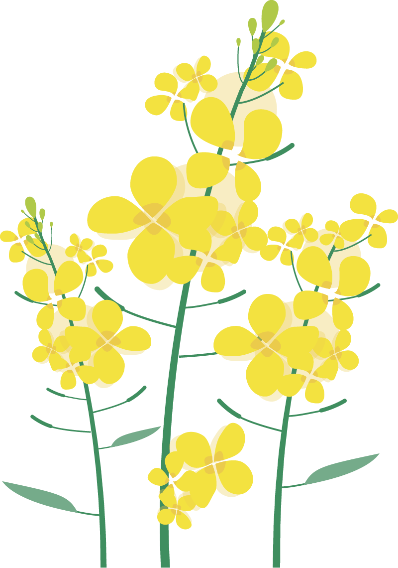 “中国最后的女酋长”去世，在迟子建作品中重读她的故事休闲区蓝鸢梦想 - Www.slyday.coM