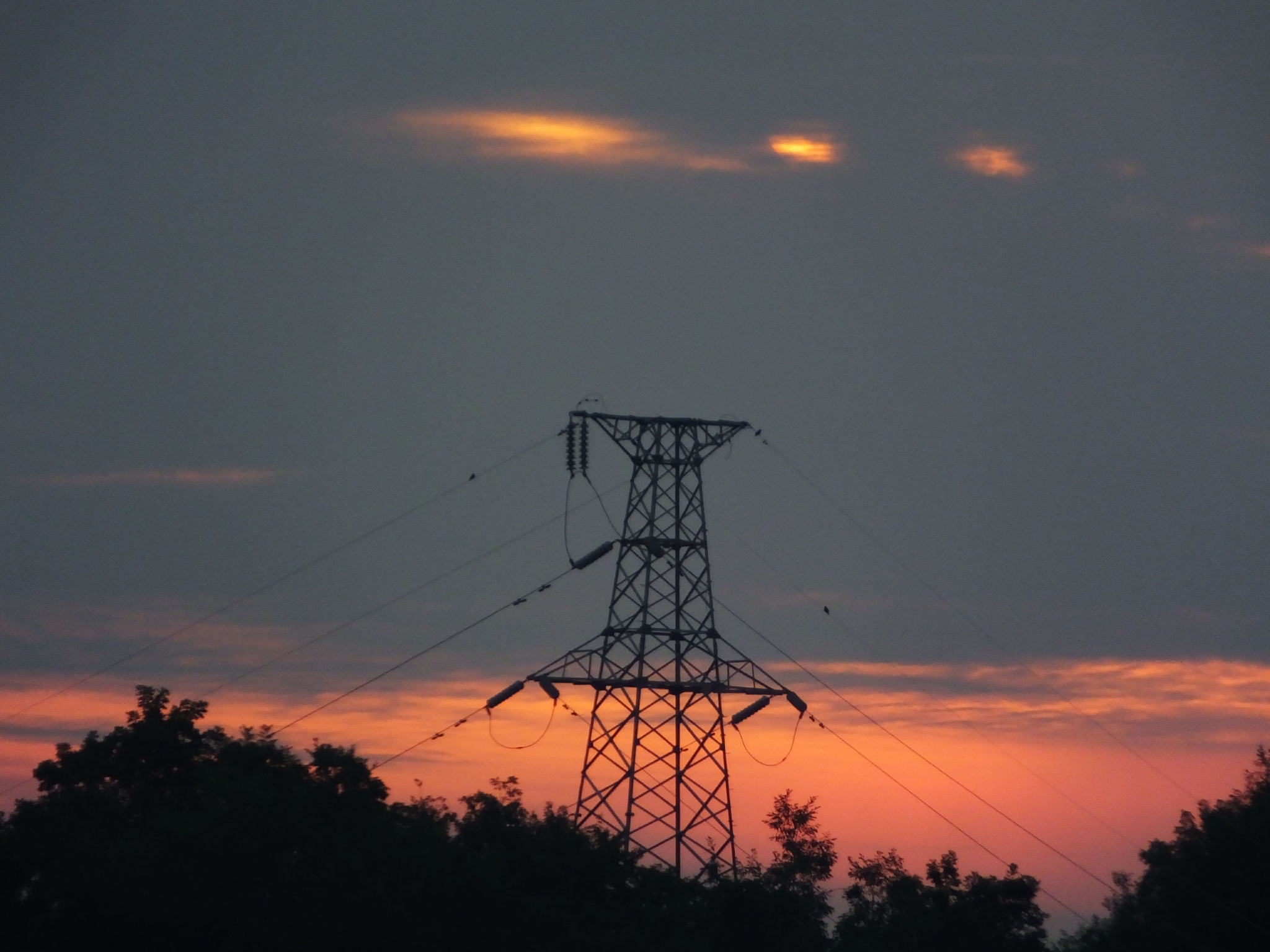 7月2日，湖北宜昌，日出时分，晨光中的电网。图/ic