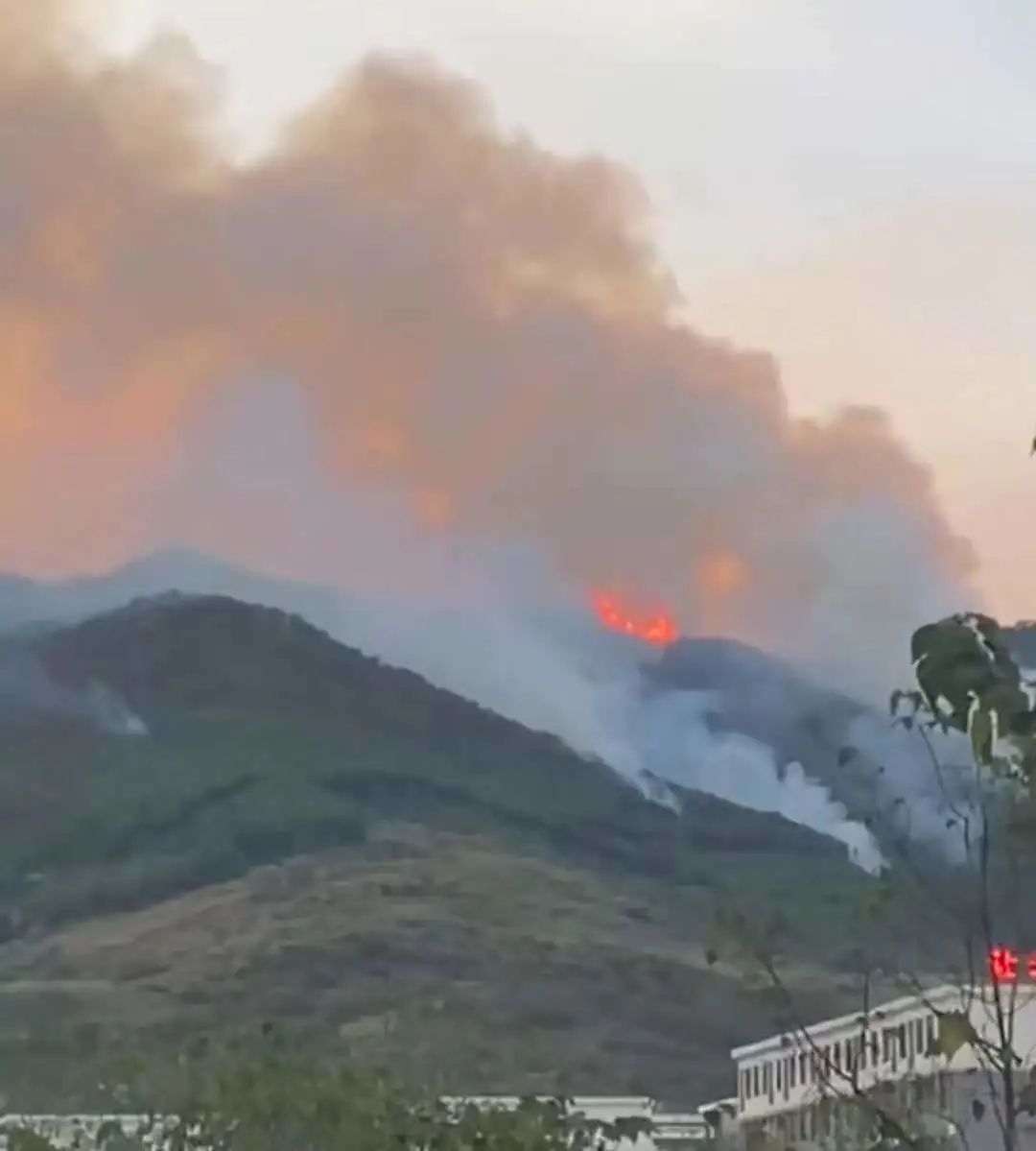 重庆北碚山火，仍在扑救中休闲区蓝鸢梦想 - Www.slyday.coM