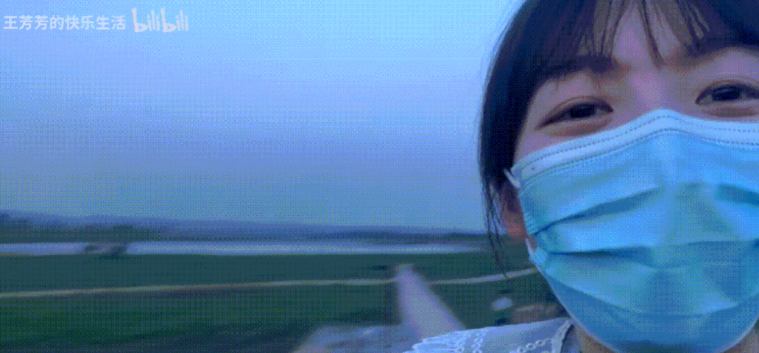 “给你们看看我家乡的向日葵”