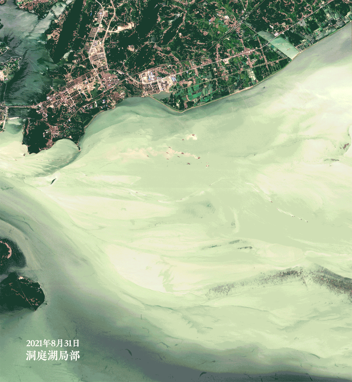  2021年8月31日与2022年8月6日拍摄的洞庭湖局部卫星影像。