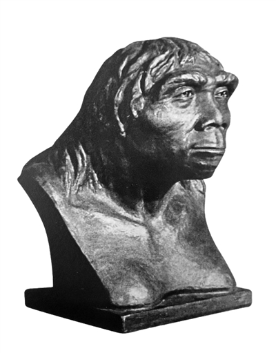 蓝田猿人亚洲北部最早的直立人