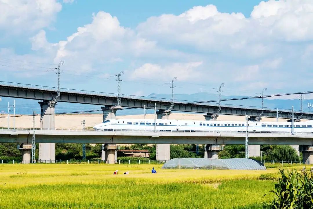 【交通】弥蒙高铁,开通倒计时!|高铁_新浪财经_新浪网