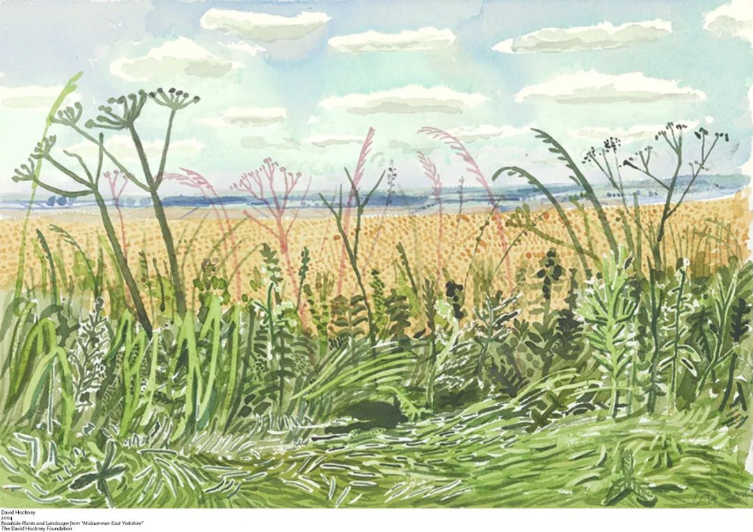 "春至诺曼底",美国展大卫·霍克尼ipad绘画|霍克尼_新浪财经_新浪网