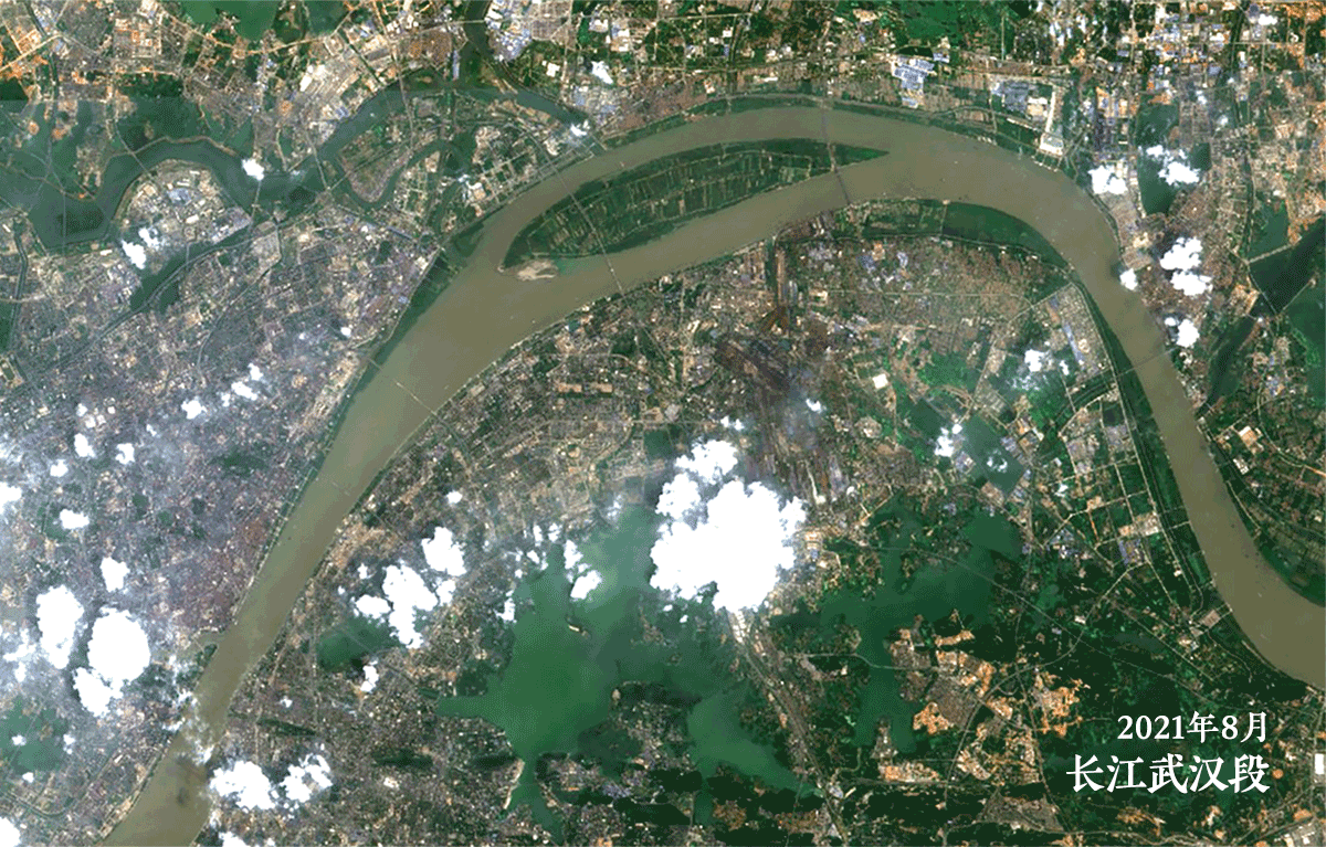 2021年8月和2022年8月拍摄的长江武汉段卫星影像对比。