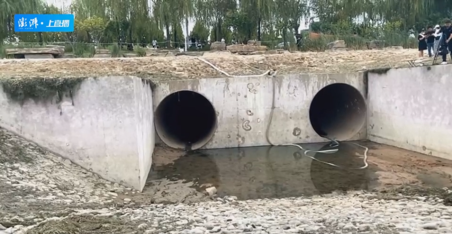 抽干近30万立方米的湖水，为了捕捉1条怪鱼，鳄雀鳝入侵河南汝州休闲区蓝鸢梦想 - Www.slyday.coM