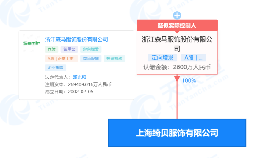 天眼查网站截图