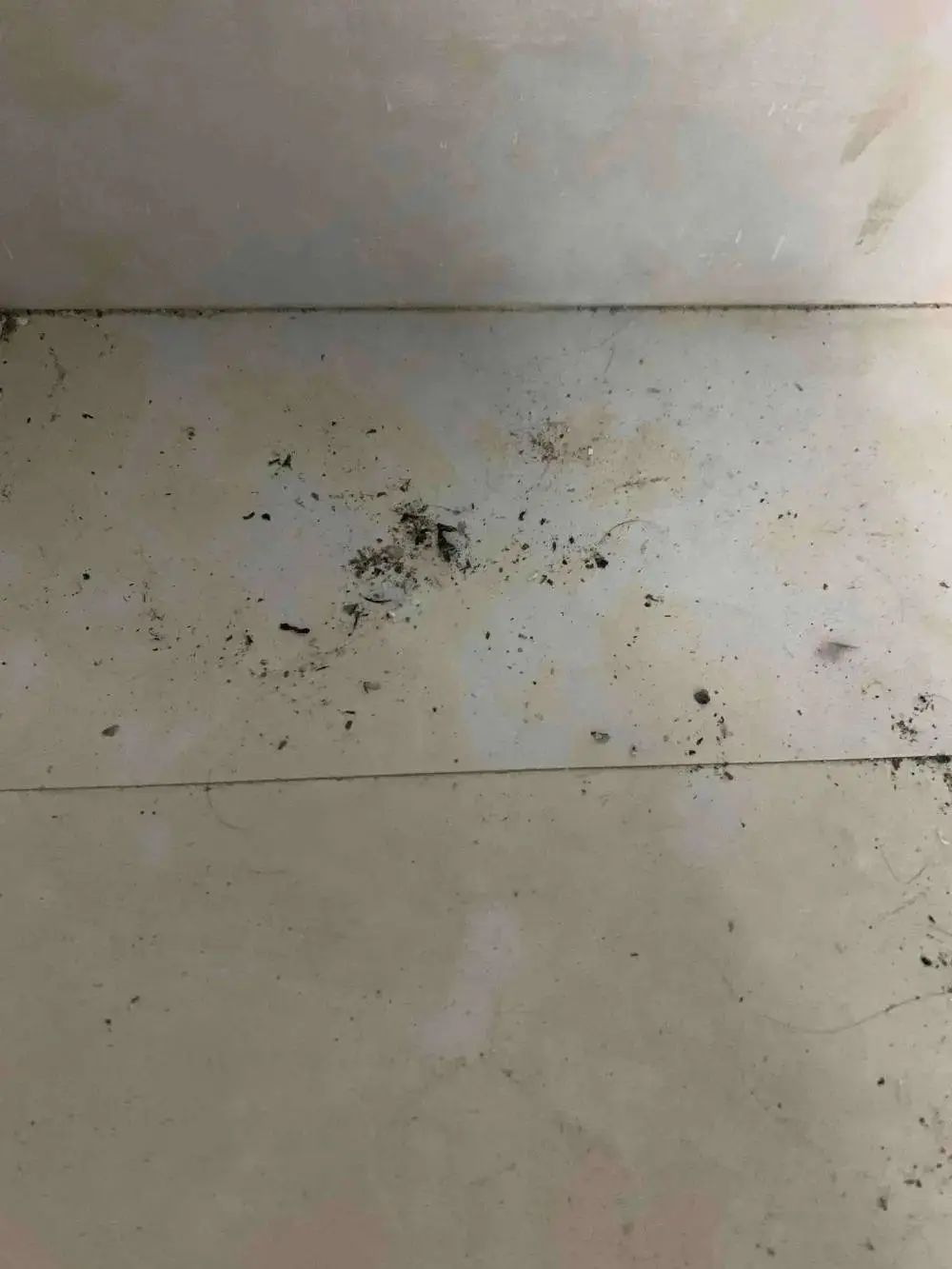 我在重庆山火现场，上千人参与救援休闲区蓝鸢梦想 - Www.slyday.coM