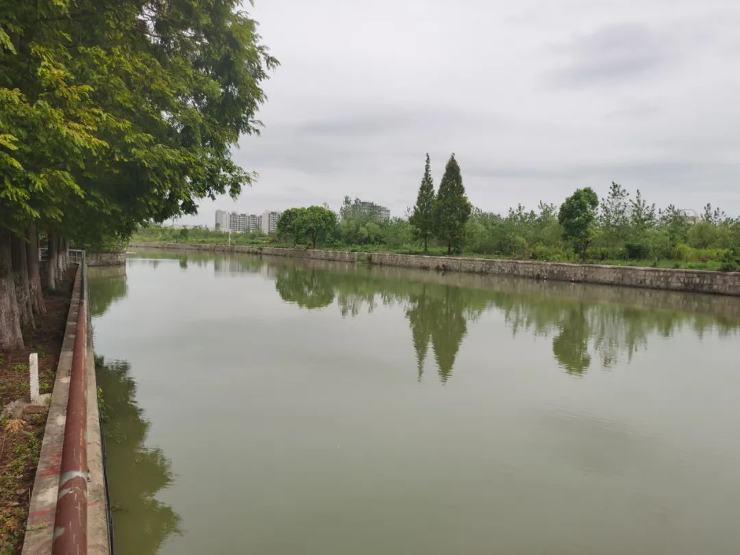 【提示】横沥河水岸文脉景观提升贯通工程启动施工_新浪财经_新浪网