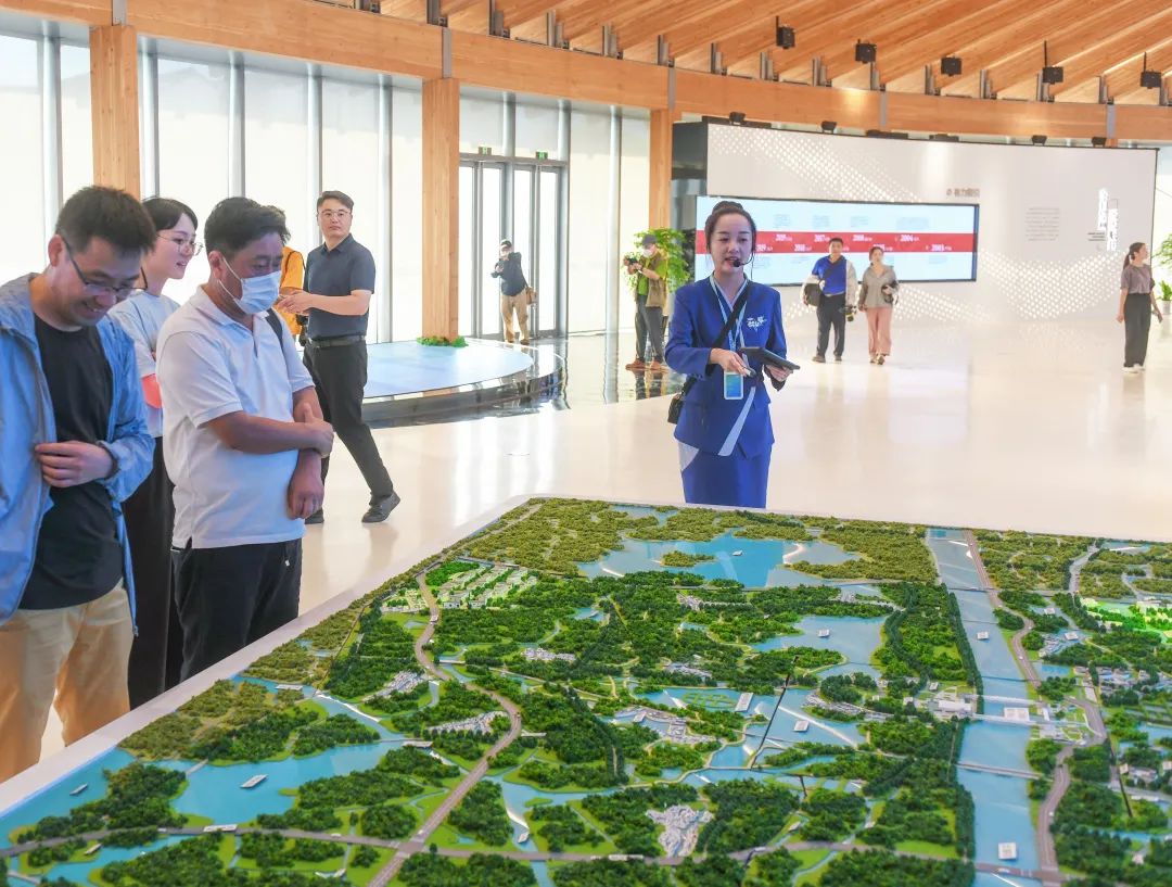 地嘉人善新风光，摄影师镜头里的嘉善“大变样”了休闲区蓝鸢梦想 - Www.slyday.coM