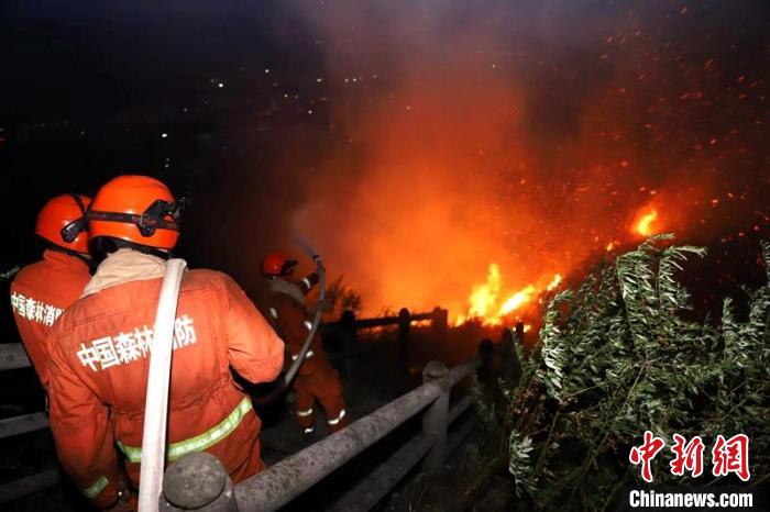 四川合江:森林火灾全线扑灭 现场转入看守阶段|火场|消防员|消防_新浪