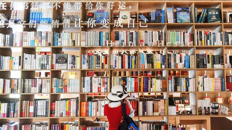 地嘉人善新风光，摄影师镜头里的嘉善“大变样”了休闲区蓝鸢梦想 - Www.slyday.coM