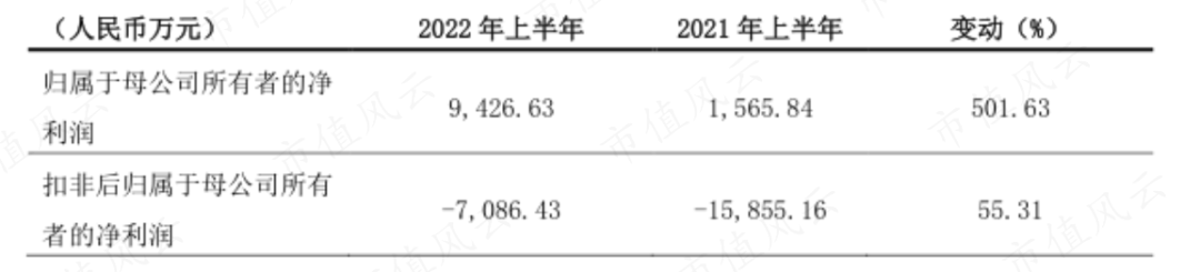 （来源：公司2022年半年报）