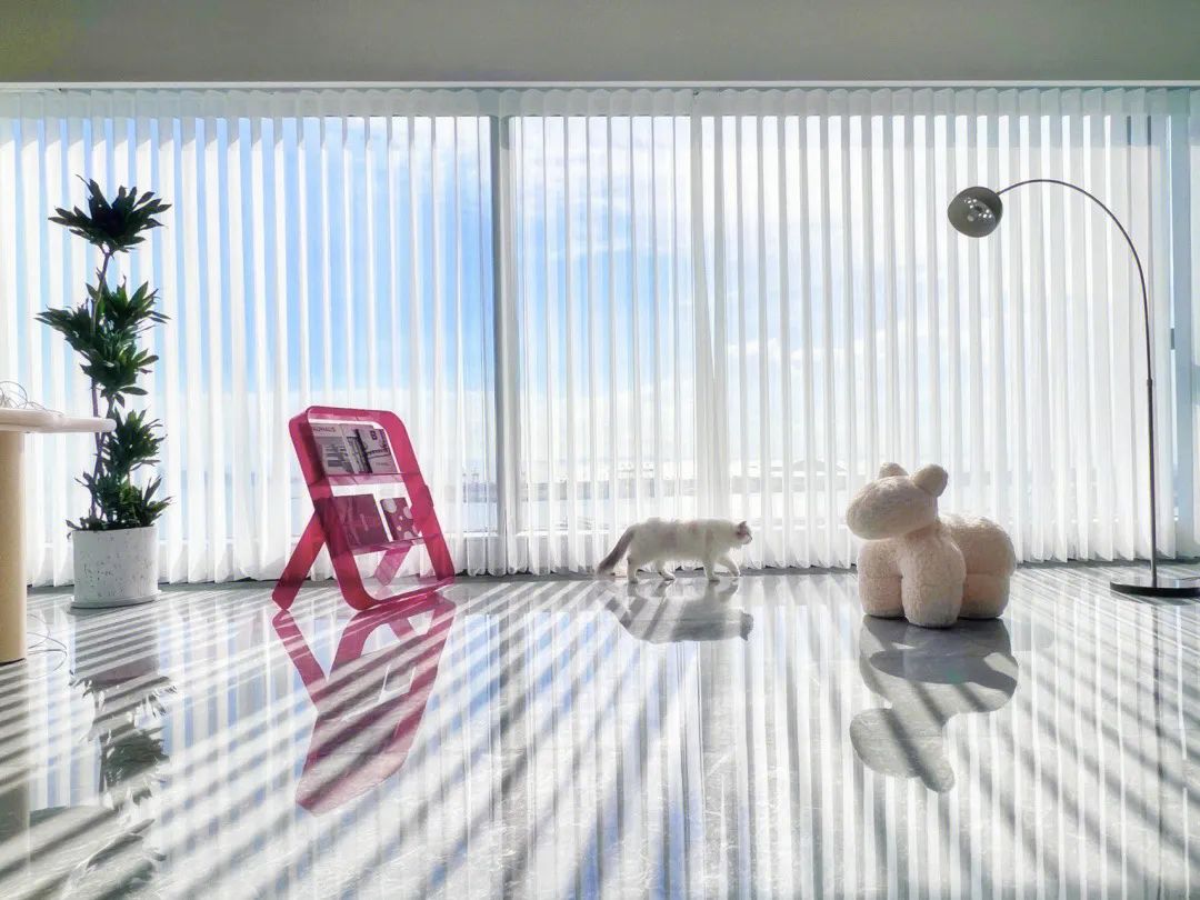 梦幻帘突然破圈,能否成为下一个爆点?__财经头条