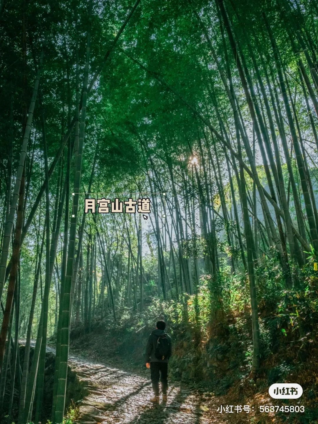 app软件介绍通用图标