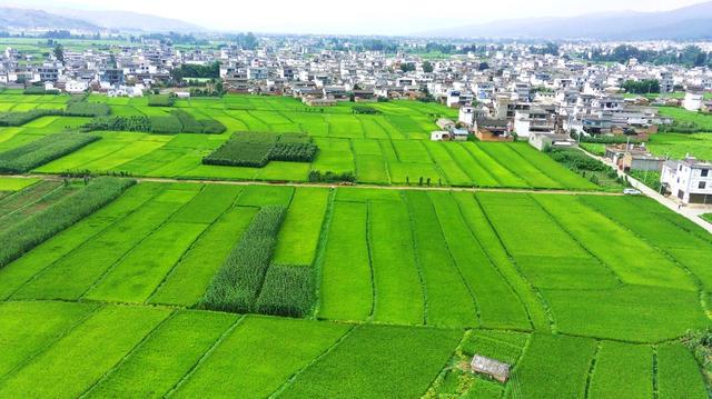 2022年8月25日,云南省大理州巍山县庙街镇古城村委会古城村乡村田野