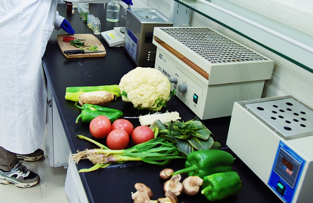 技术人员对蔬菜做农药残留检测.人民视觉 资料图