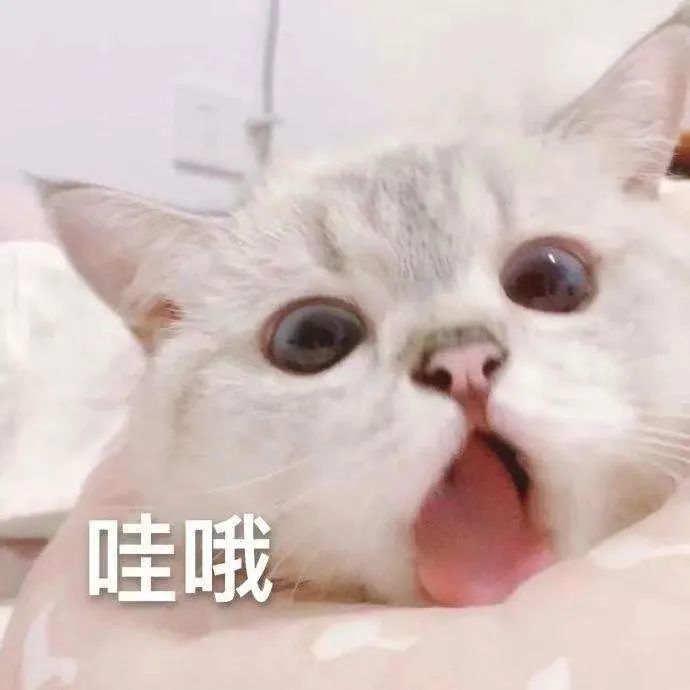 速转“家族群”！原来这些都不是真的！！休闲区蓝鸢梦想 - Www.slyday.coM