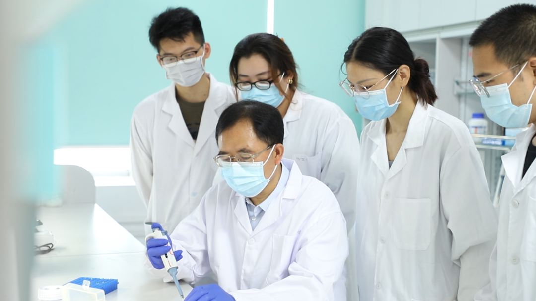 科研人员攻关新技术.