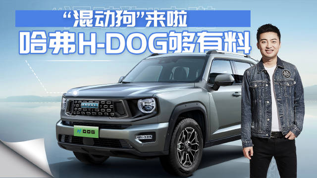 哈弗狗系列终于出混动啦，H-DOG 1.5T DHT纯电续航150km……|汽车资讯|紧凑级车|新能源_新浪新闻
