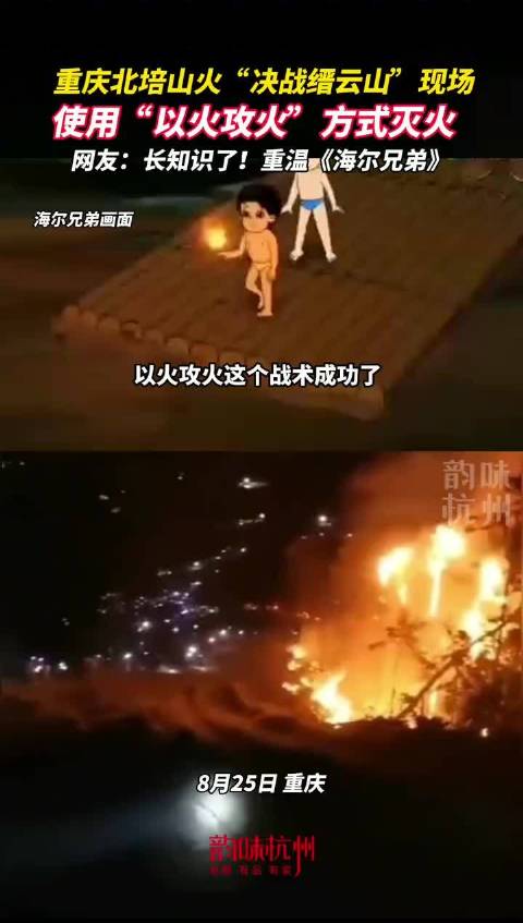8月25日，重庆缙云山 ｡重庆山火现场采用以火灭火 ……|重庆市|扑灭|猪猪侠|大火|知识_新浪新闻