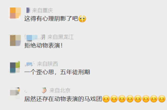 惊悚离奇！快递收到一只死亡小老虎！死体来自…休闲区蓝鸢梦想 - Www.slyday.coM