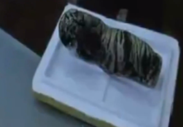 女子取快递，竟收到死亡小老虎！涉案人员被判5年休闲区蓝鸢梦想 - Www.slyday.coM