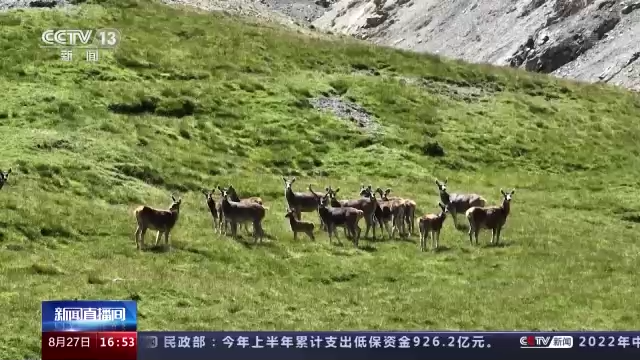 【浙银·早读】天津今日核酸检测丨这些区划定高中低风险区丨北京多个病例在返京途中感染休闲区蓝鸢梦想 - Www.slyday.coM