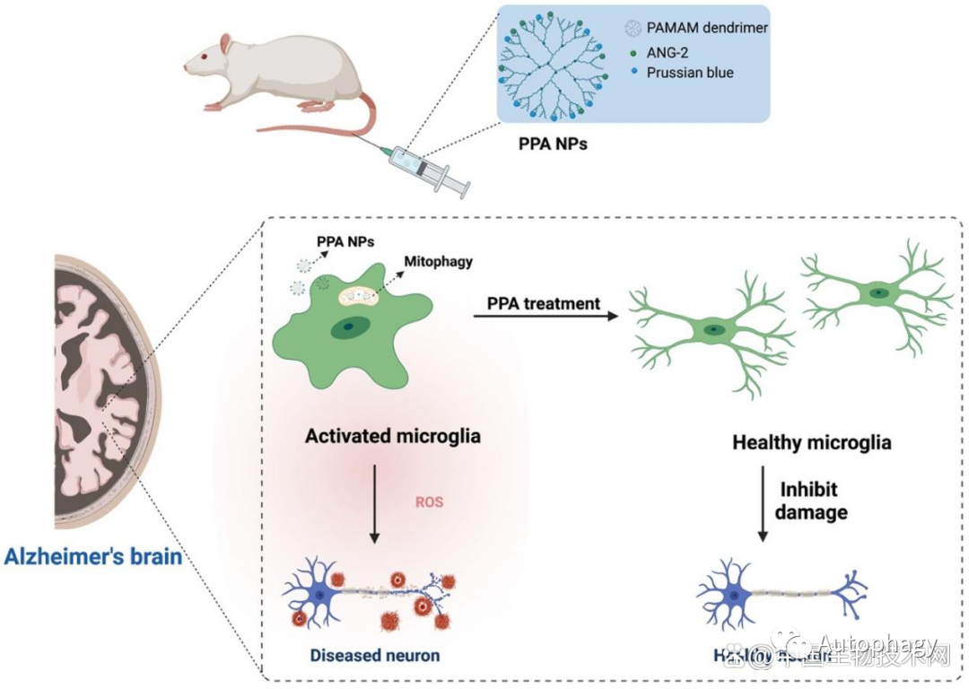 Office2010最新激活密钥  Office2010永久使用密钥有哪些