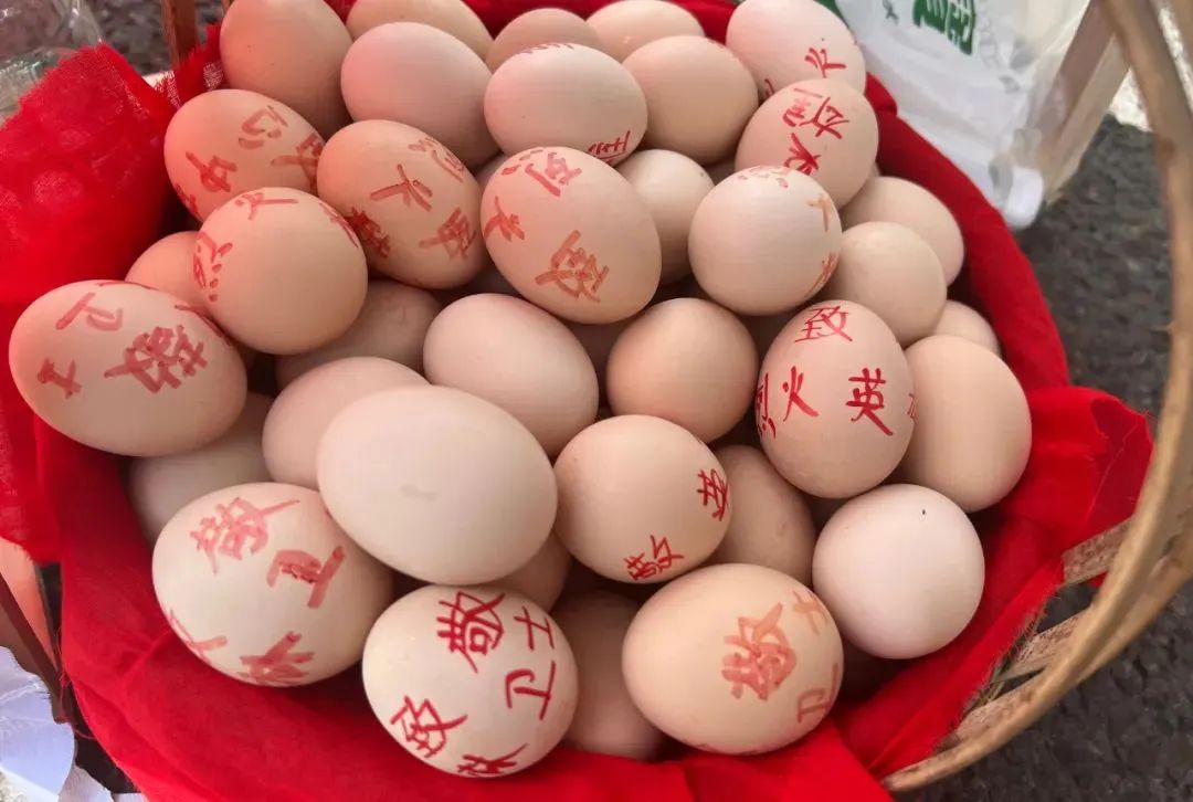 “这辈子第一次见到这么大的场面”休闲区蓝鸢梦想 - Www.slyday.coM