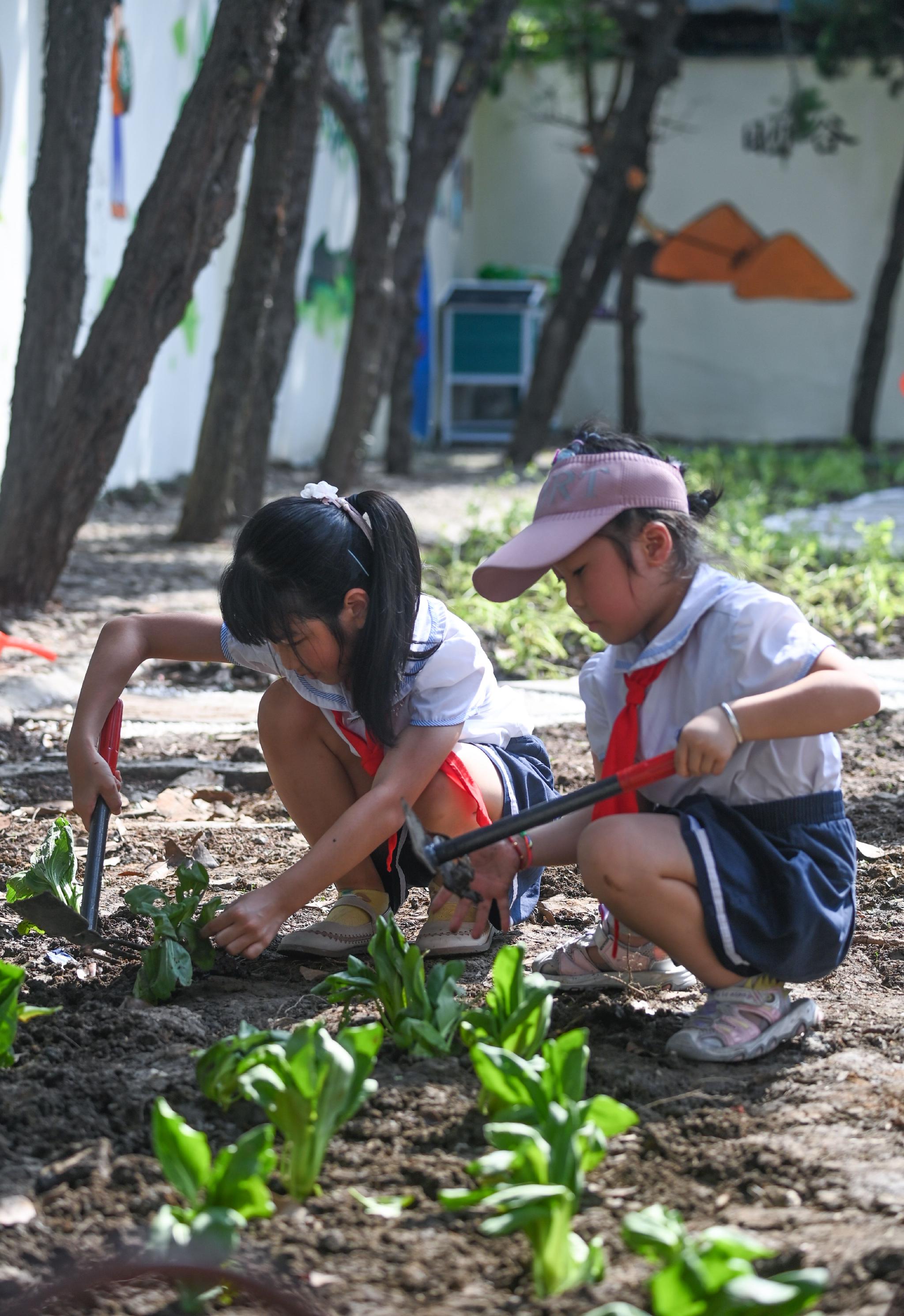 浙江湖州劳动实践教育开启开学第一课