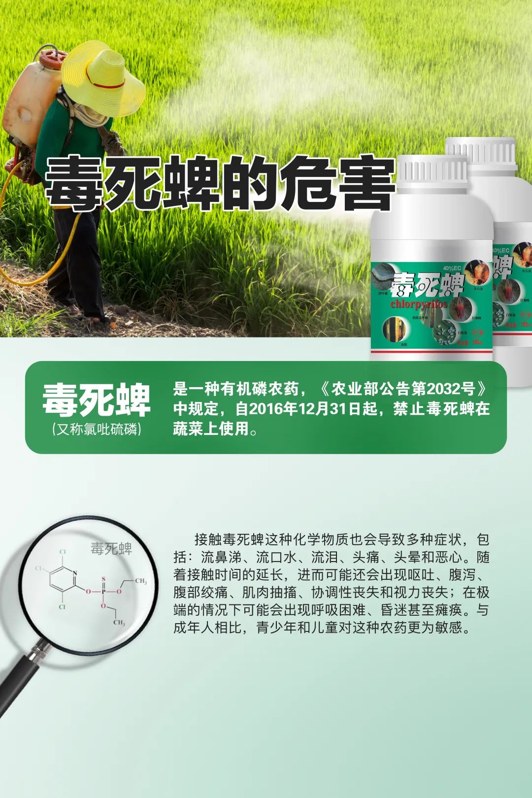 毒死蜱的危害!一图说清楚_新浪财经_新浪网