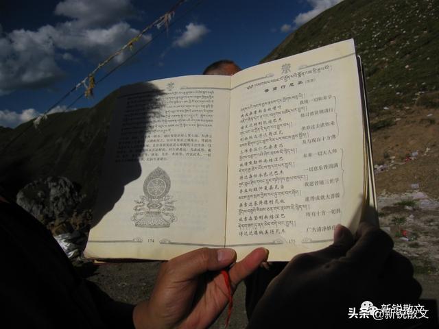 在高原，我第一次见到这么干净，这么圣洁，这么美丽，这么的地方休闲区蓝鸢梦想 - Www.slyday.coM