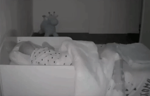 哈士奇半夜起来帮小宝宝盖被子，这还是我们认识的二哈吗，暖爆了！休闲区蓝鸢梦想 - Www.slyday.coM