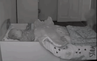 哈士奇半夜起来帮小宝宝盖被子，这还是我们认识的二哈吗，暖爆了！休闲区蓝鸢梦想 - Www.slyday.coM