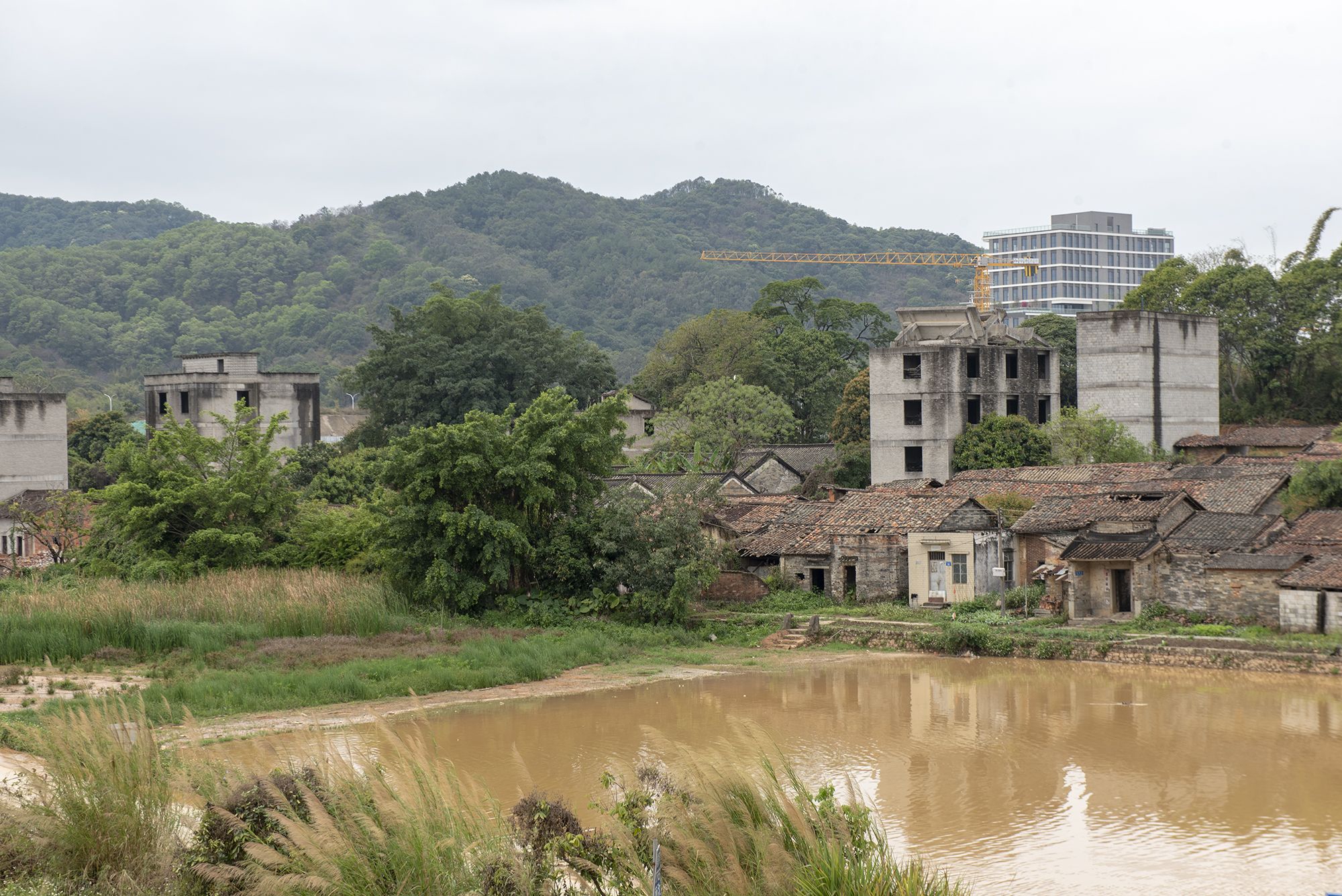 拥有千年历史的广州古村,在城市发展面前,是该让步还是保留?|九龙湖|黄田|世盛_新浪新闻
