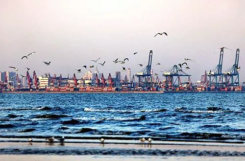 【港口雄开万里流】秦皇岛港:"智慧"赋能,百年"港城"转型升级启新程|